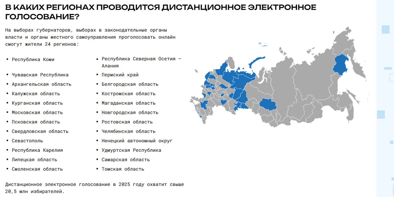 Электронное голосование 2025